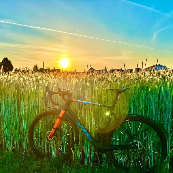 Fahrrad auf Feldweg bei Sonnenuntergang